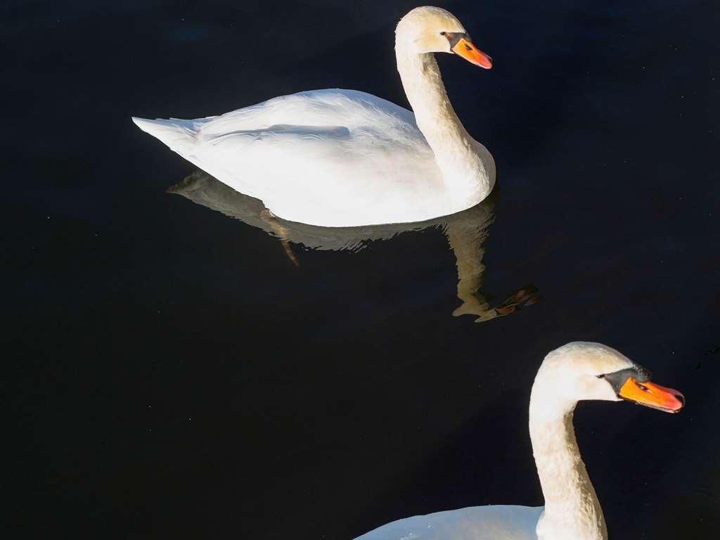 Ibis Budget Porte D'orleans